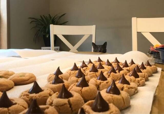 Bildschirmarbeiter - Picdump 24.12.2019