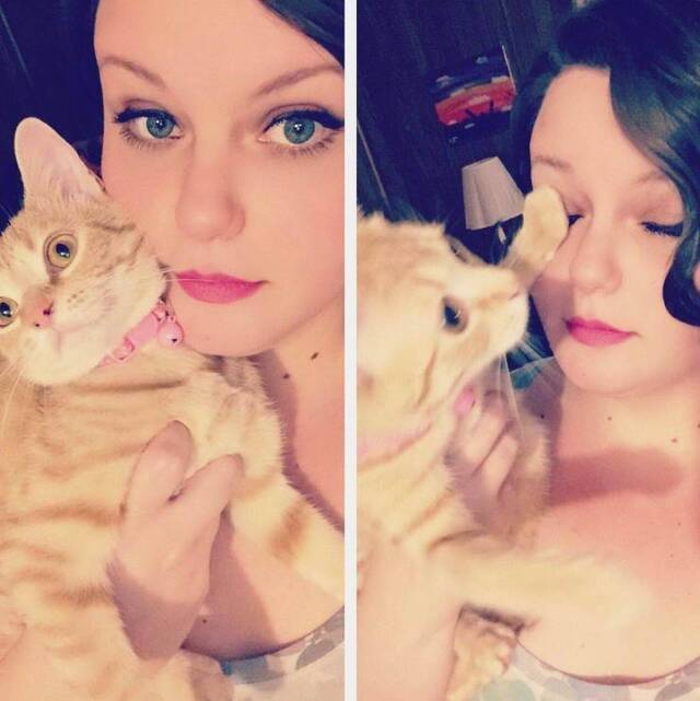 Bildschirmarbeiter - Picdump 24.12.2019