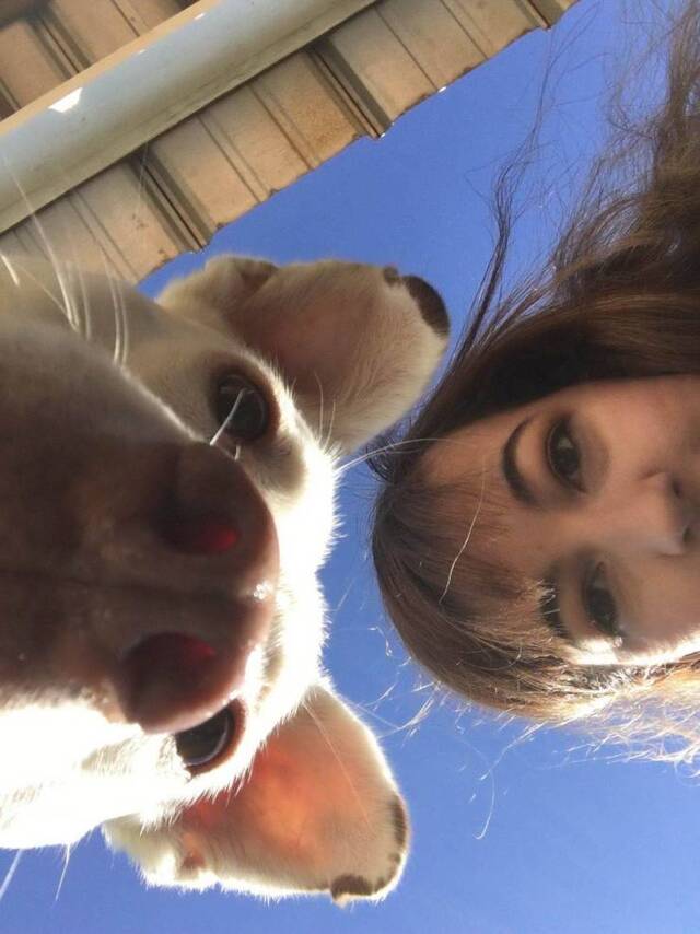 Bildschirmarbeiter - Picdump 24.12.2019