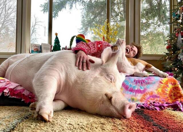 Bildschirmarbeiter - Picdump 24.12.2019