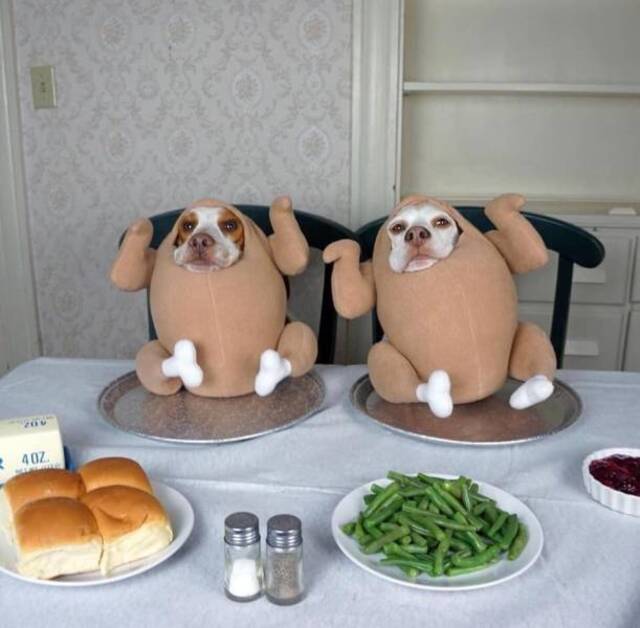 Bildschirmarbeiter - Picdump 24.12.2019