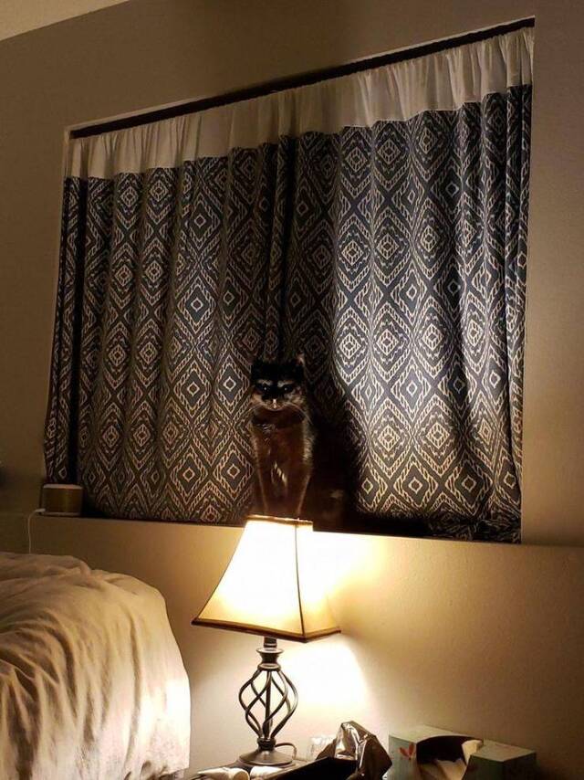 Bildschirmarbeiter - Picdump 24.12.2019