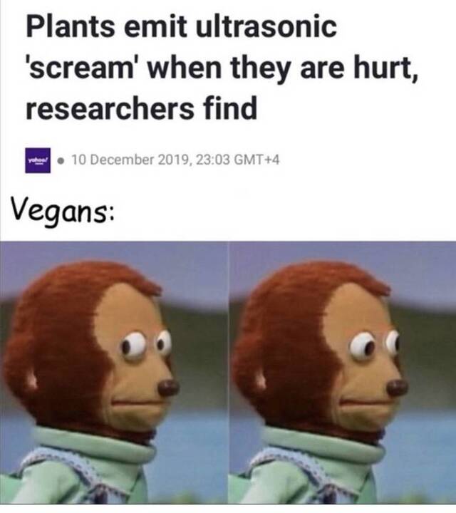 Bildschirmarbeiter - Picdump 24.12.2019