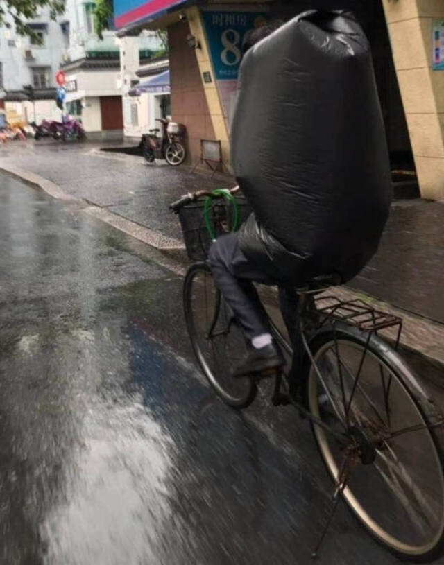 Bildschirmarbeiter - Picdump 24.12.2019