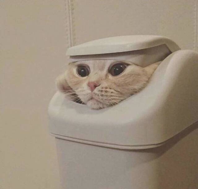 Bildschirmarbeiter - Picdump 24.12.2019