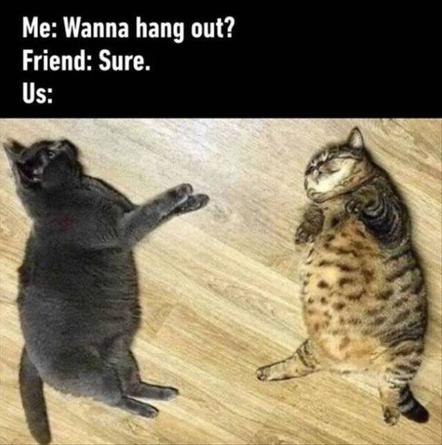 Bildschirmarbeiter - Picdump 24.12.2019