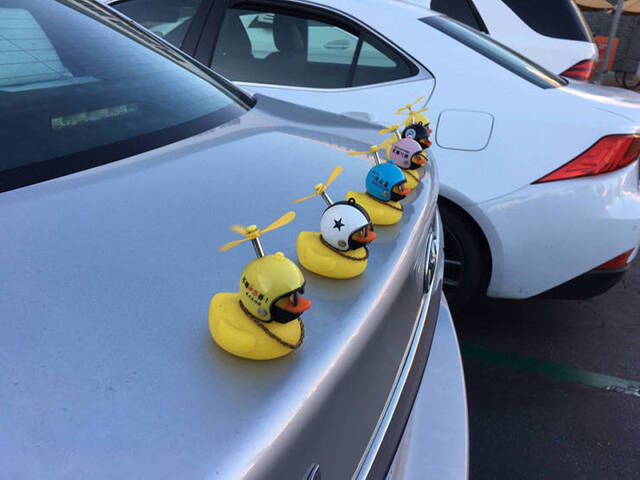 Bildschirmarbeiter - Picdump 24.12.2019