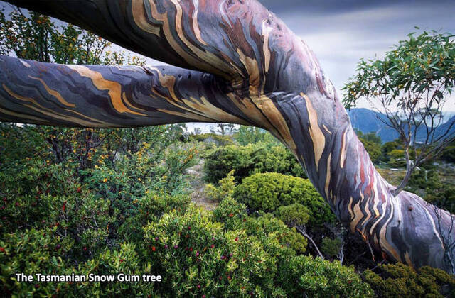 Bildschirmarbeiter - Picdump 24.12.2019