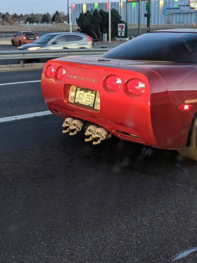 Bildschirmarbeiter - Picdump 24.12.2019