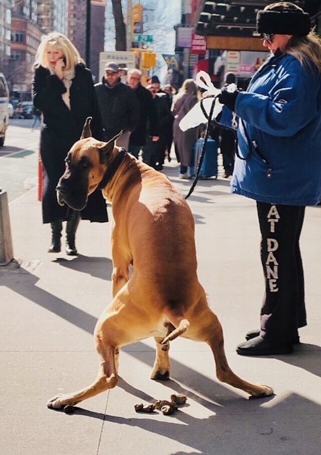 Bildschirmarbeiter - Picdump 24.12.2019