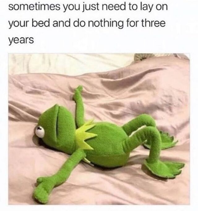 Bildschirmarbeiter - Picdump 24.12.2019