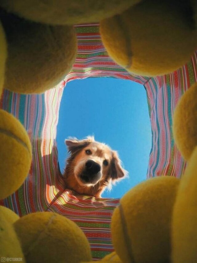 Bildschirmarbeiter - Picdump 24.12.2019