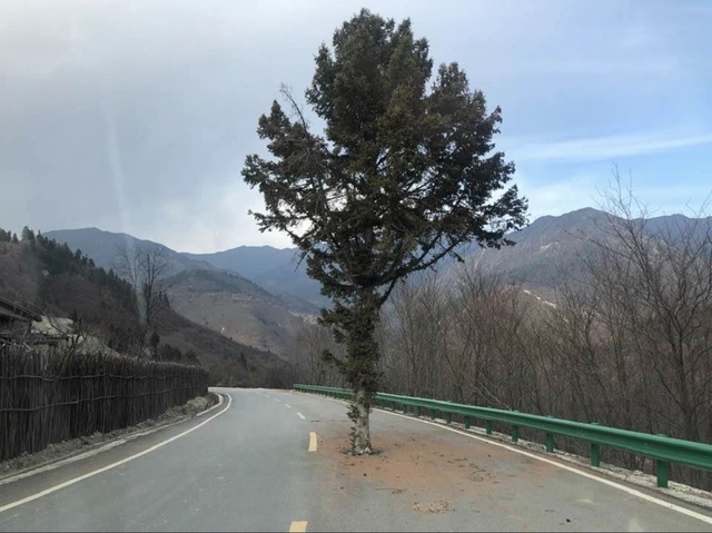 Bildschirmarbeiter - Picdump 24.12.2019