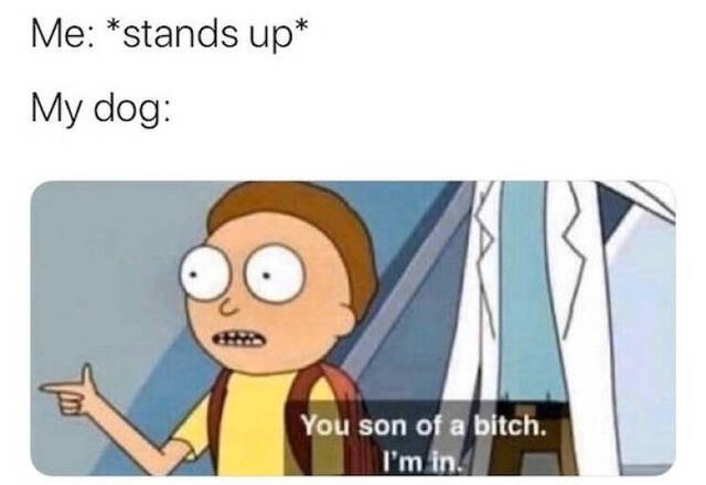 Bildschirmarbeiter - Picdump 24.12.2019