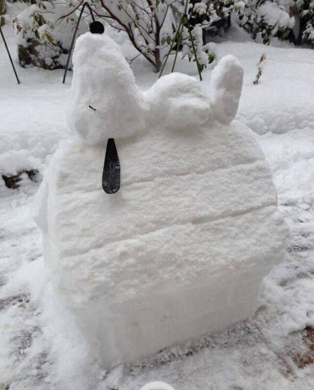 Bildschirmarbeiter - Picdump 27.12.2019