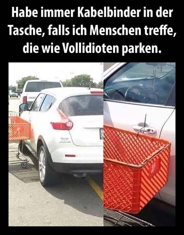 Bildschirmarbeiter - Picdump 27.12.2019
