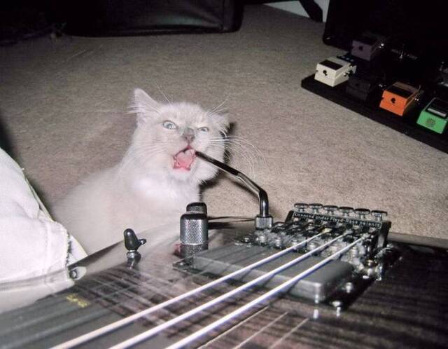 Bildschirmarbeiter - Picdump 27.12.2019