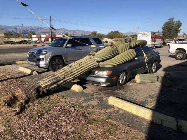 Bildschirmarbeiter - Picdump 27.12.2019