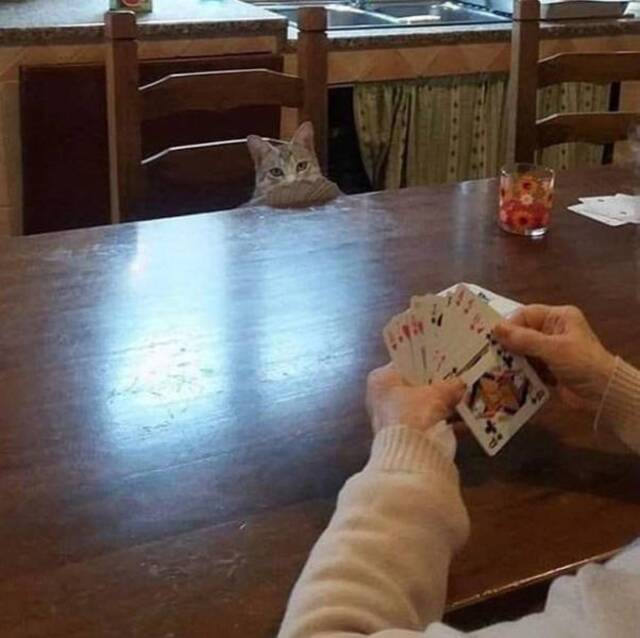 Bildschirmarbeiter - Picdump 27.12.2019