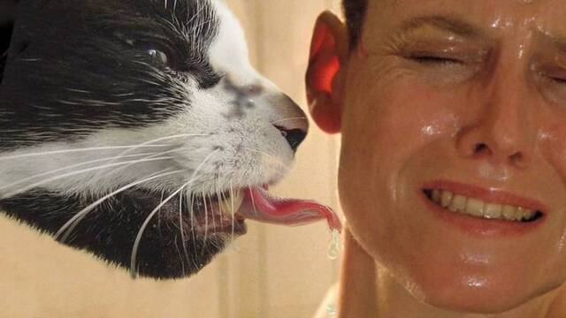 Bildschirmarbeiter - Picdump 27.12.2019