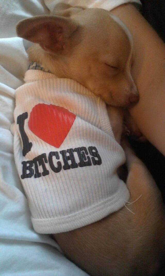 Bildschirmarbeiter - Picdump 27.12.2019