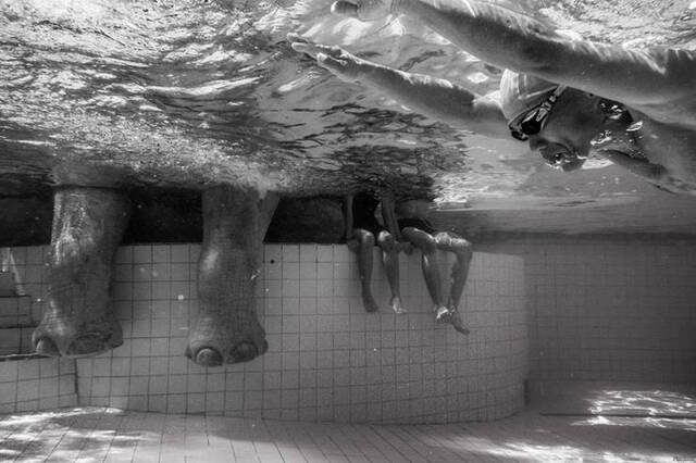 Bildschirmarbeiter - Picdump 27.12.2019