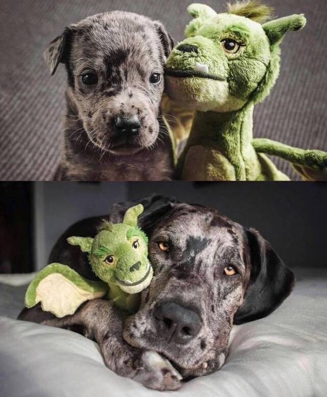 Bildschirmarbeiter - Picdump 27.12.2019