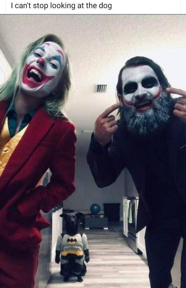 Bildschirmarbeiter - Picdump 27.12.2019