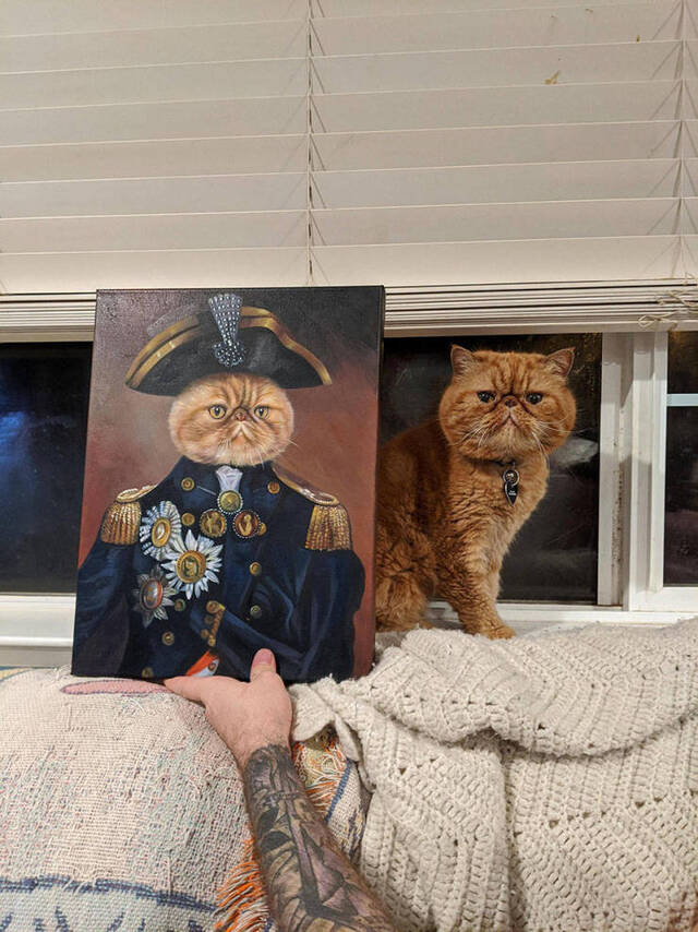 Bildschirmarbeiter - Picdump 27.12.2019