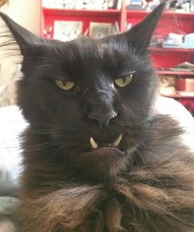 Bildschirmarbeiter - Picdump 27.12.2019