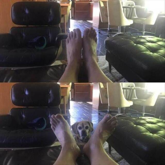 Bildschirmarbeiter - Picdump 03.01.2020