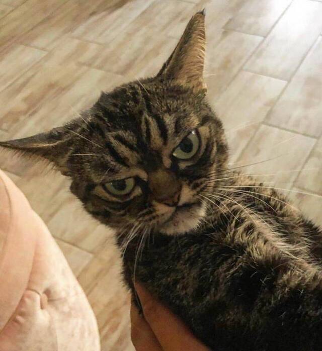 Bildschirmarbeiter - Picdump 03.01.2020