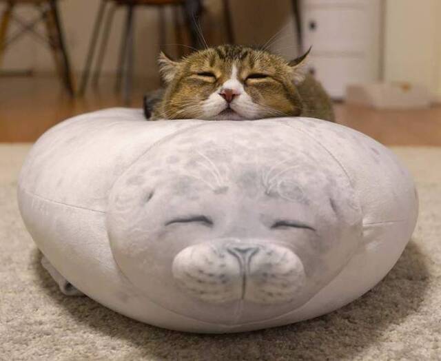 Bildschirmarbeiter - Picdump 03.01.2020