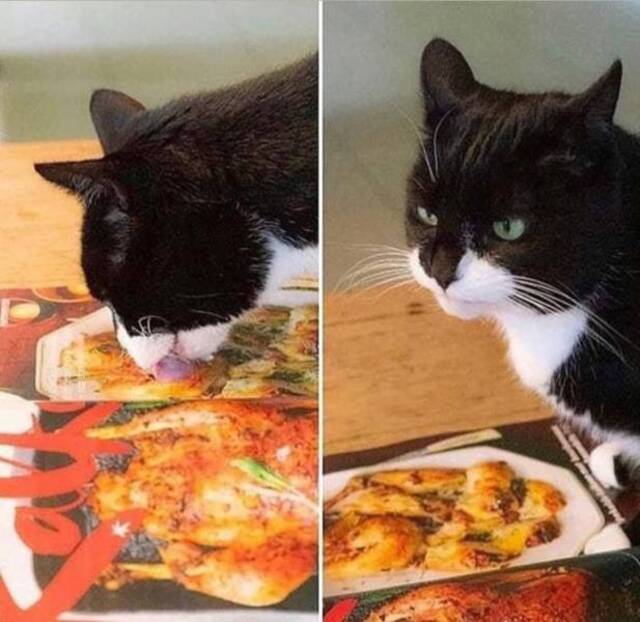 Bildschirmarbeiter - Picdump 03.01.2020