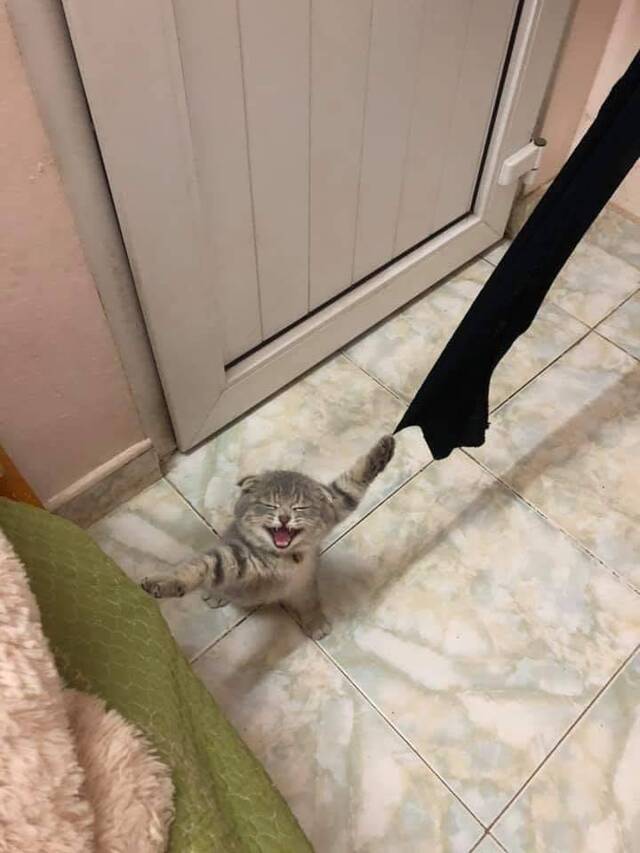 Bildschirmarbeiter - Picdump 03.01.2020