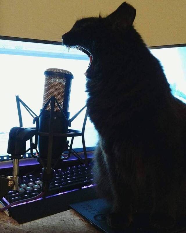 Bildschirmarbeiter - Picdump 03.01.2020