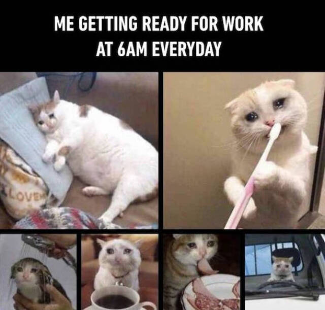 Bildschirmarbeiter - Picdump 03.01.2020