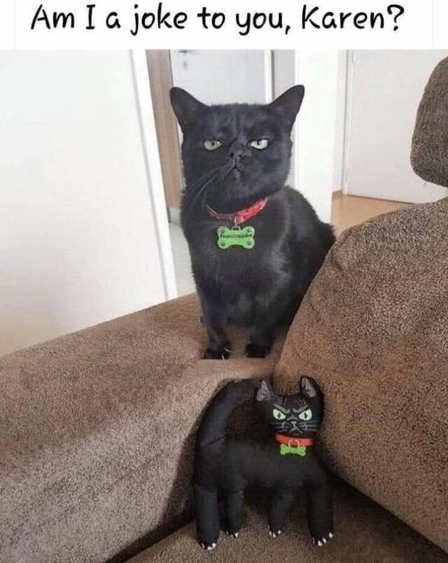 Bildschirmarbeiter - Picdump 03.01.2020