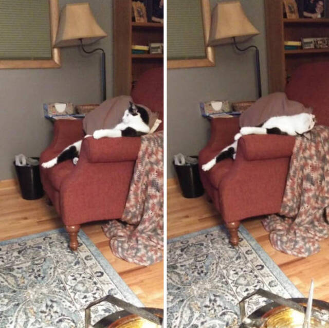 Bildschirmarbeiter - Picdump 03.01.2020