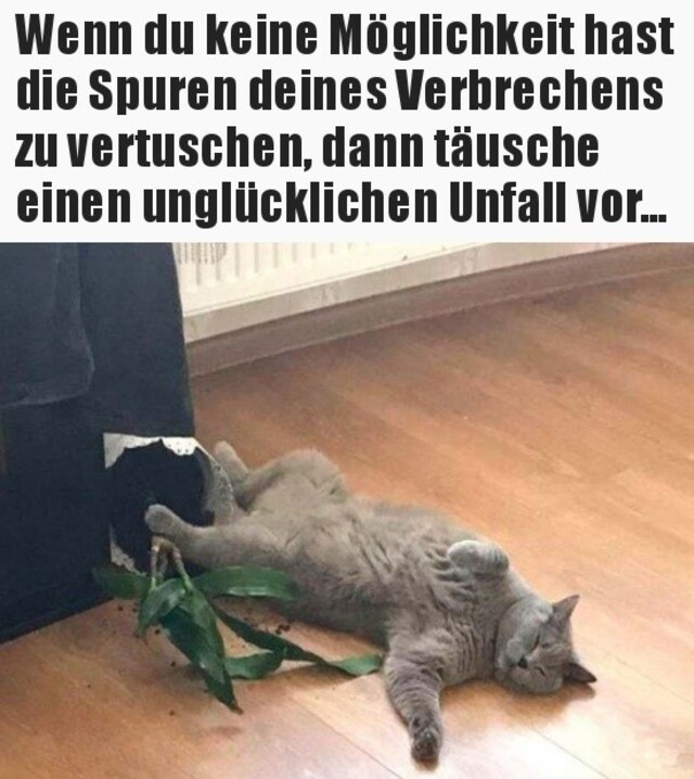 Bildschirmarbeiter - Picdump 10.01.2020