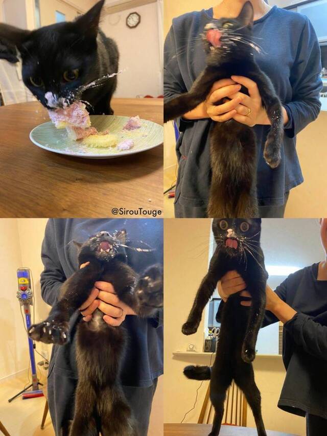 Bildschirmarbeiter - Picdump 10.01.2020