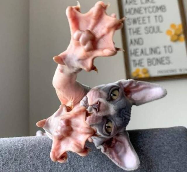 Bildschirmarbeiter - Picdump 10.01.2020