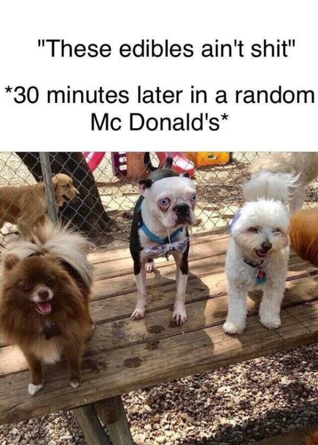 Bildschirmarbeiter - Picdump 10.01.2020