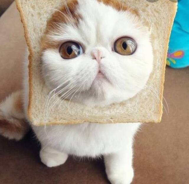 Bildschirmarbeiter - Picdump 17.01.2020