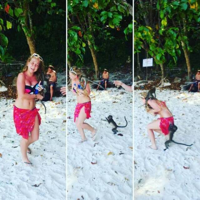 Bildschirmarbeiter - Picdump 17.01.2020