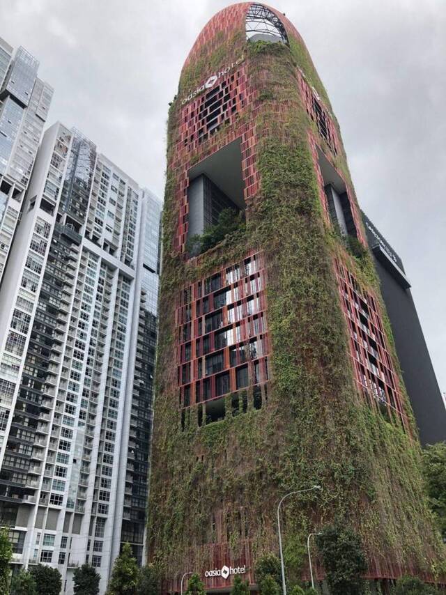 Bildschirmarbeiter - Picdump 17.01.2020