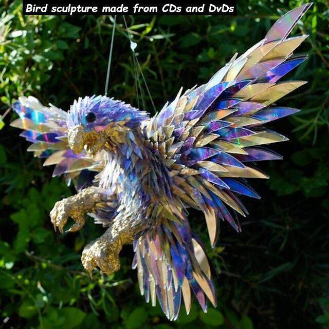 Bildschirmarbeiter - Picdump 17.01.2020