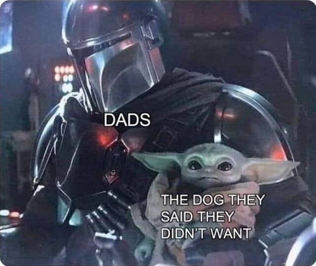 Bildschirmarbeiter - Picdump 17.01.2020