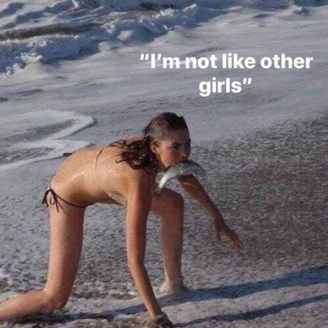 Bildschirmarbeiter - Picdump 17.01.2020