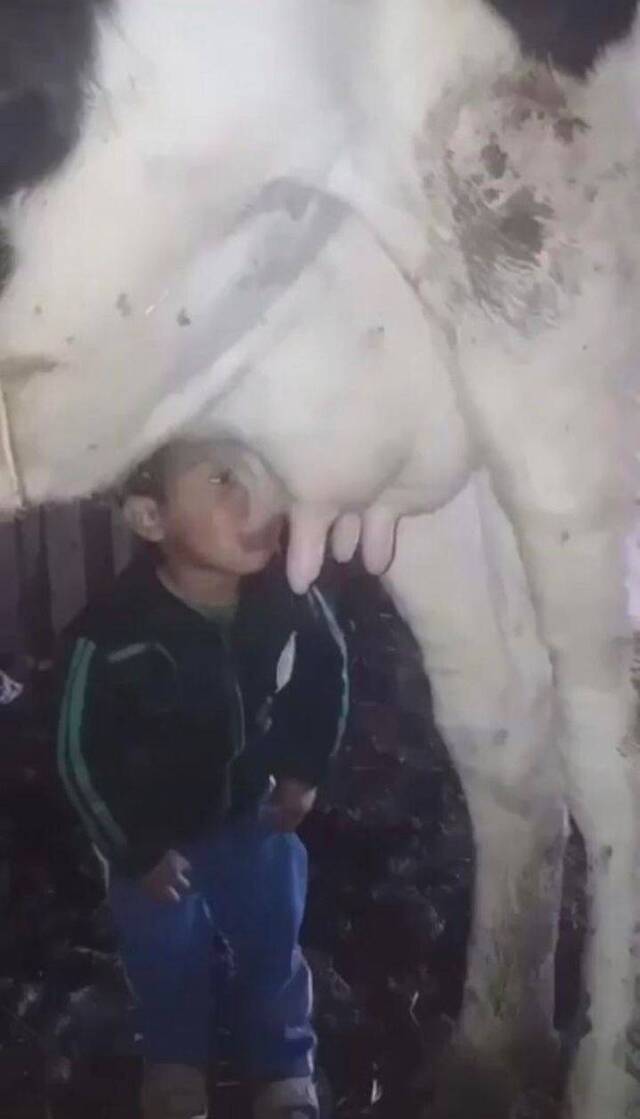 Bildschirmarbeiter - Picdump 17.01.2020